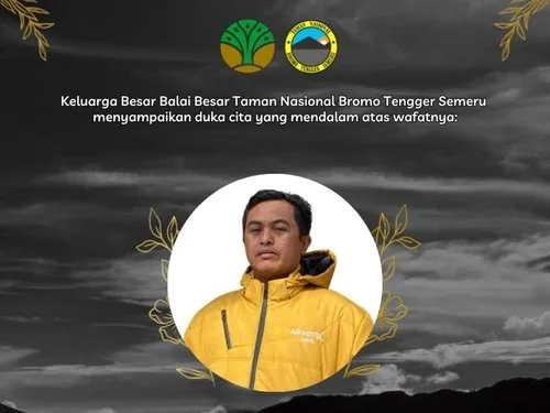 Suraji, petugas keamanan Artotel, meninggal dunia setelah sembilan hari menjalani perawatan akibat luka bakar dalam insiden karhutla di kawasan Bromo, Kabupaten Probolinggo. Total korban meninggal dunia kini mencapai enam orang.