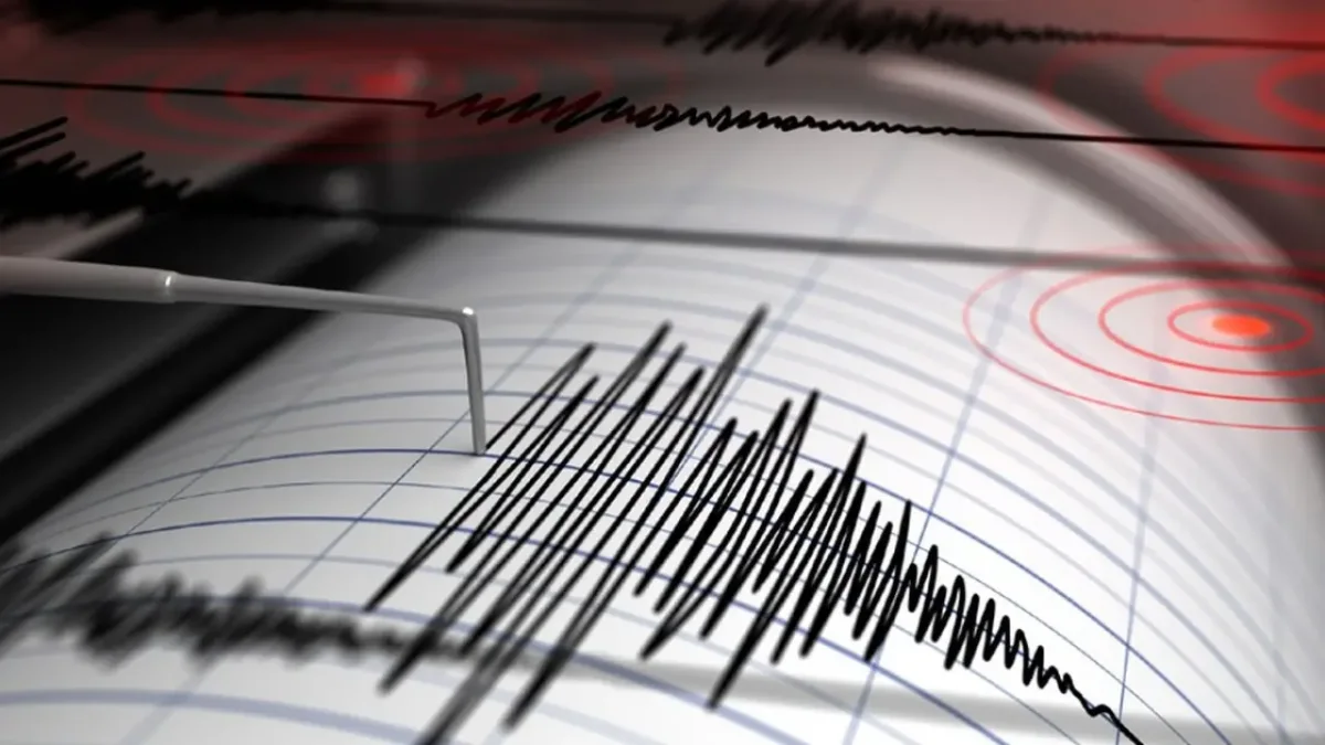 Gempa Dangkal Mendominasi Jawa Timur, BMKG Catat 429 Kejadian Sepanjang September